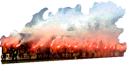 Supporters van IJsselmeervogels